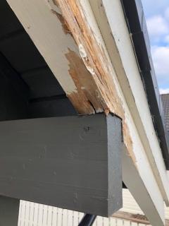 Image from job nr 1