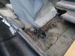 Image from job nr 1