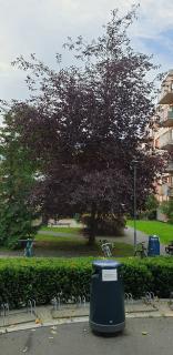 Image from job nr 6