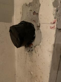 Image from job nr 1