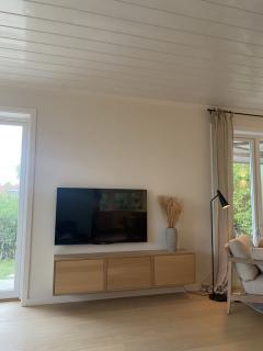 Mulig innemontering over tv_-9136-741c4e086ad0