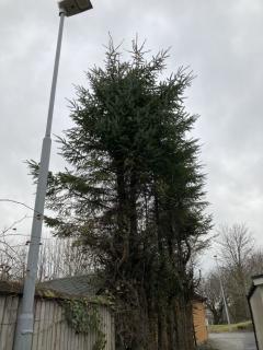 Image from job nr 3