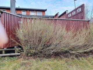 Image from job nr 4