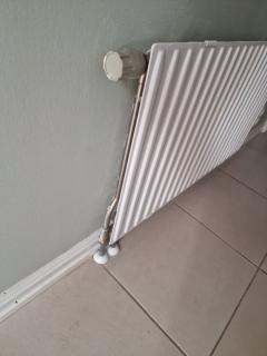 Image from job nr 6
