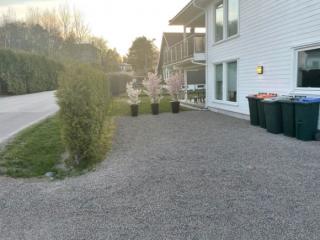 Image from job nr 2