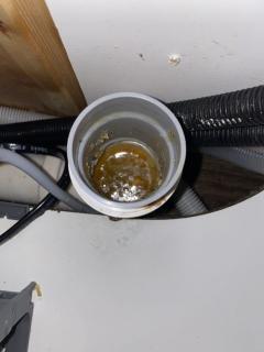 Image from job nr 1