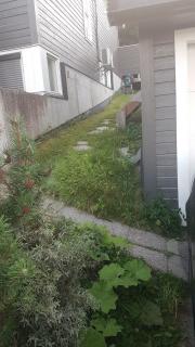 Image from job nr 1