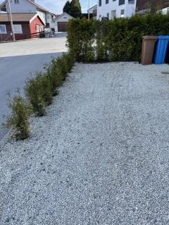 Image from job nr 3