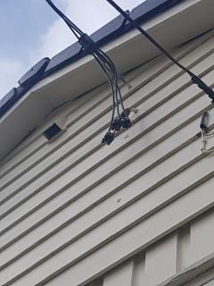 Image from job nr 1
