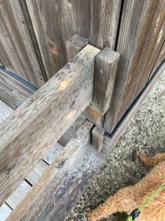 Image from job nr 3