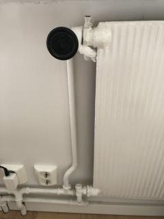 Image from job nr 1
