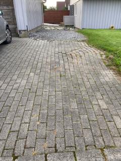 Image from job nr 1