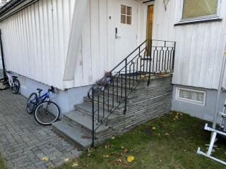 Image from job nr 1