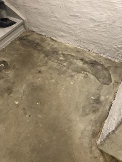 Image from job nr 1