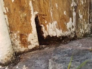 Image from job nr 3