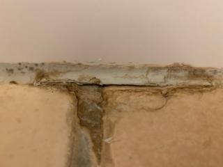Image from job nr 1