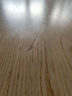 Image from job nr 1