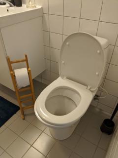 Image from job nr 1