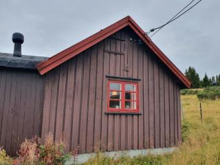 Image from job nr 5