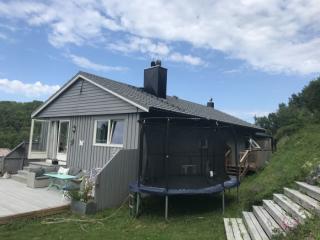 Image from job nr 1