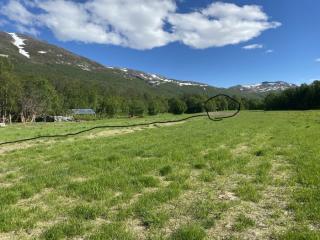 Image from job nr 1
