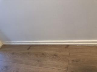 Image from job nr 3