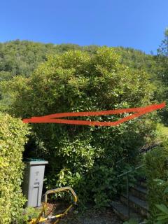 Image from job nr 5