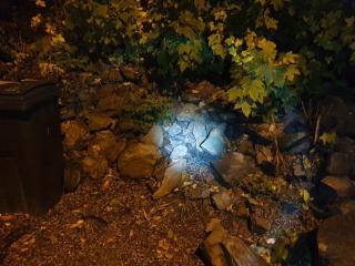Image from job nr 3