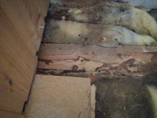 Image from job nr 3
