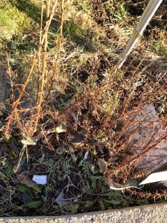 Image from job nr 4