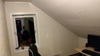 Image from job nr 2