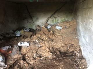 Image from job nr 1