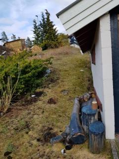 Image from job nr 3