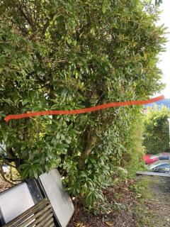 Image from job nr 3