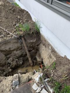 Image from job nr 1