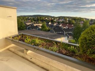 Image from job nr 2