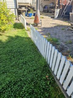 Image from job nr 1
