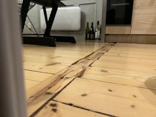 Image from job nr 1