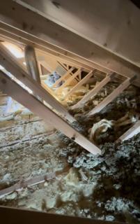 Image from job nr 1
