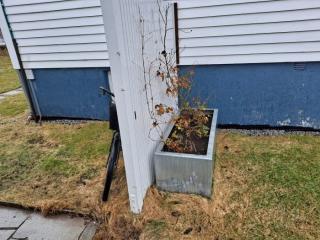 Image from job nr 6