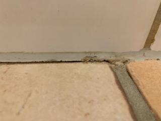 Image from job nr 2