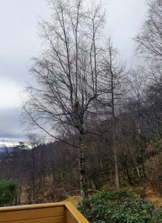 Image from job nr 2