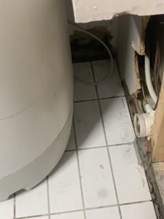 Image from job nr 2