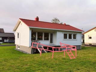 Image from job nr 1