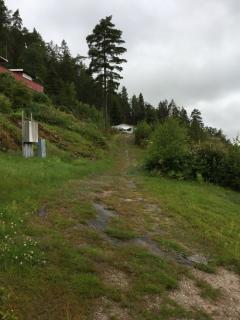 Image from job nr 1