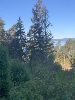 Image from job nr 3