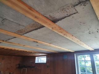 Image from job nr 1