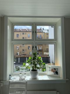 Image from job nr 1