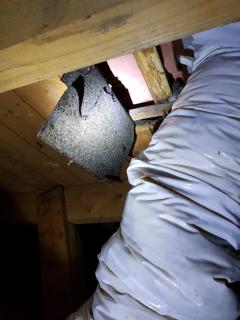 Image from job nr 1