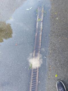 Image from job nr 5